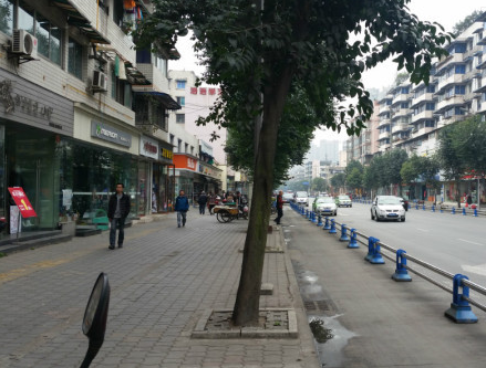 鱦