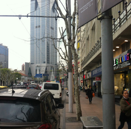 鱦