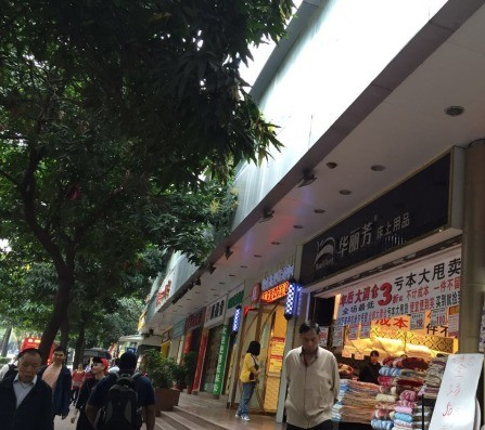 鱦