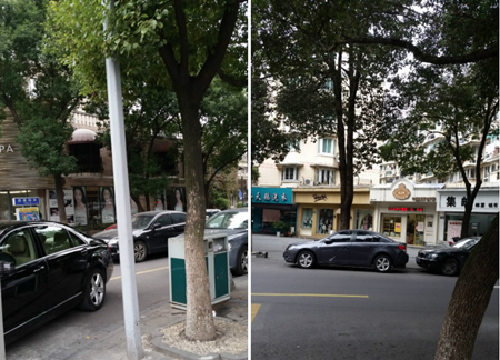 鱦