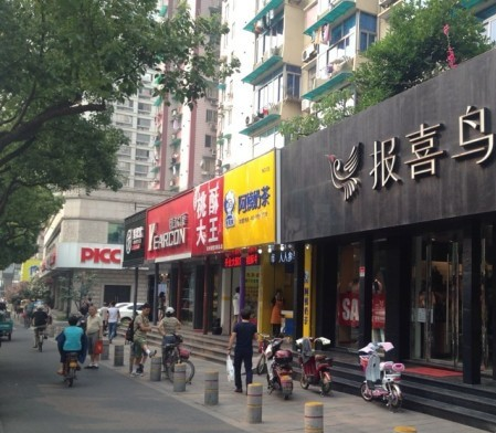 鱦