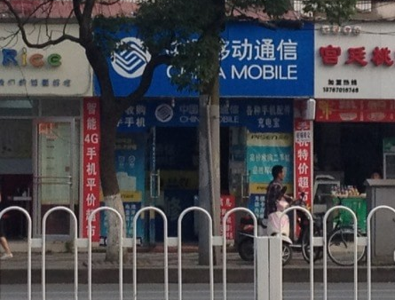 鱦