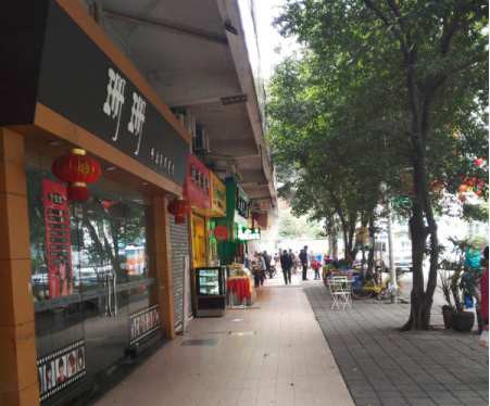 鱦