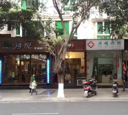 鱦