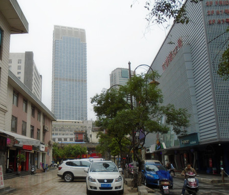鱦