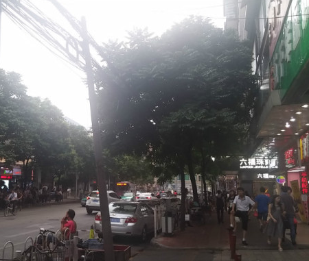 鱦