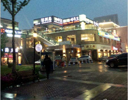 鱦