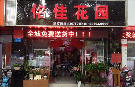 鱦