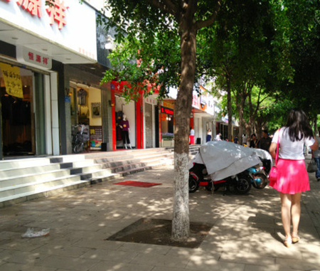 鱦