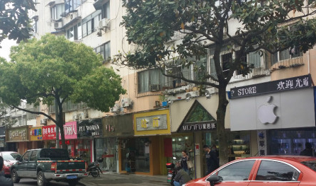 鱦