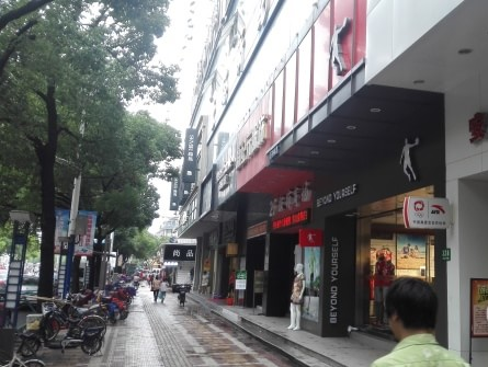 鱦