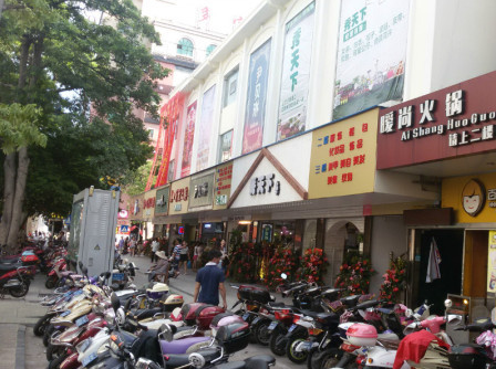 鱦