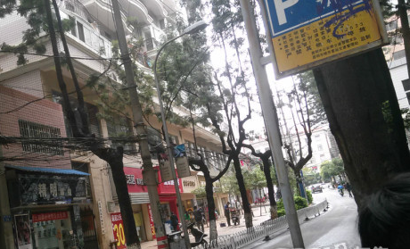 鱦