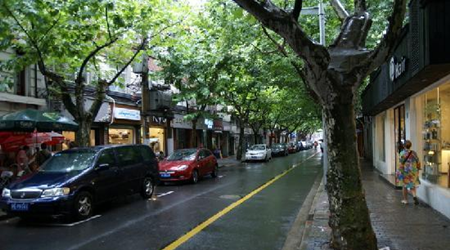 鱦
