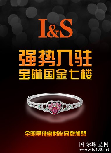 I&S鱦˾ܲȫ