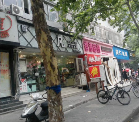 鱦