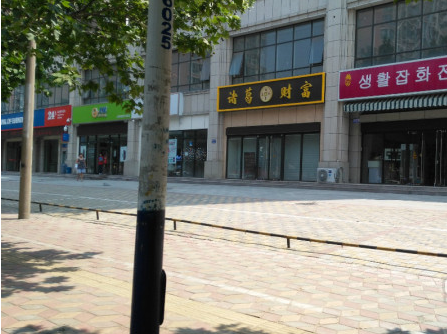 鱦