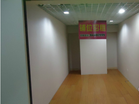 鱦