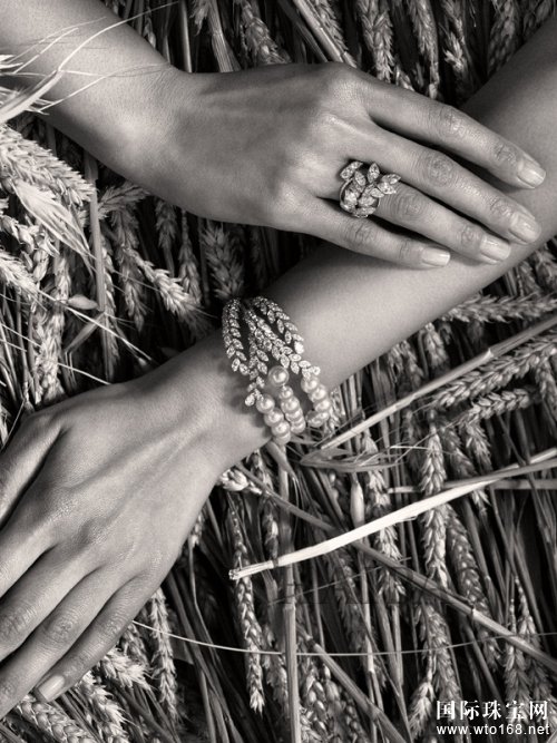 ζƳ*ΪƵ“Les Bles de Chanel”Ʒ鱦ϵ