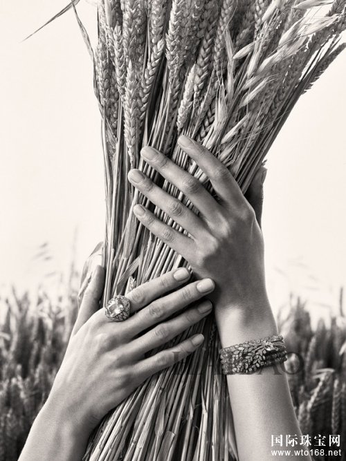 ζƳ*ΪƵ“Les Bles de Chanel”Ʒ鱦ϵ
