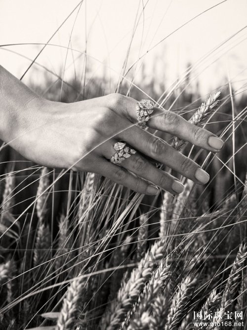 ζƳ*ΪƵ“Les Bles de Chanel”Ʒ鱦ϵ