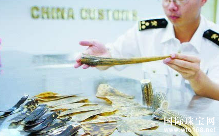 玳瑁制品受**保护  旅客携33片玳瑁\闯关\被拦 