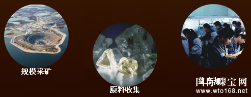 鱦