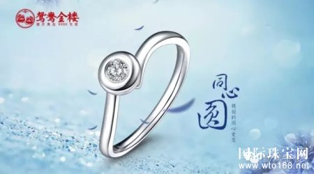  鸳鸯金楼：小雪到啦！今年你和谁一起看初雪？