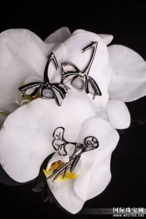 �𽱡����������ʦ������˼