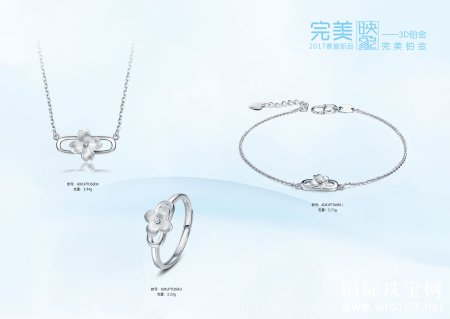 “完美映象” 系列新品