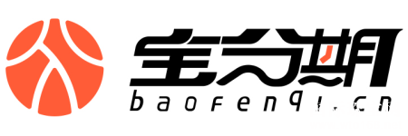  *ȫ  鱦B2B2Cҵ̬ս