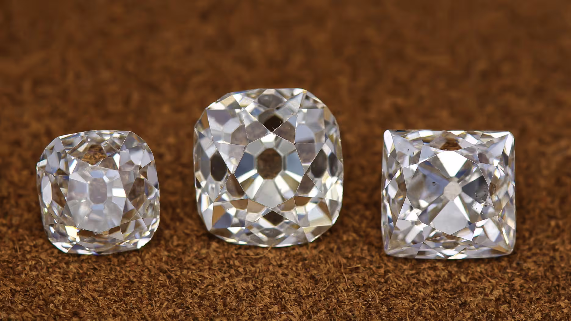  Perpetuum Jewels ıʯѡPerpetuum Jewels Ǽ Ethical Gem Fair Seattle չĹӦ֮һ