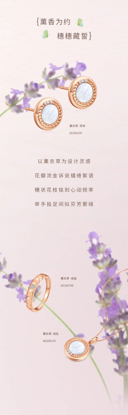 ALICE˿鱦