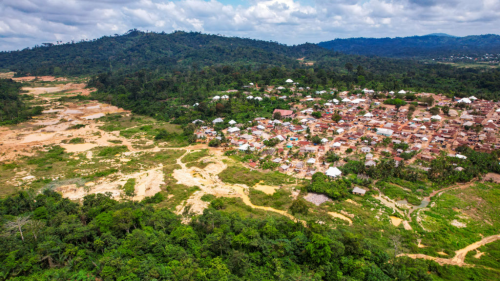 ɭ�ֱ�����